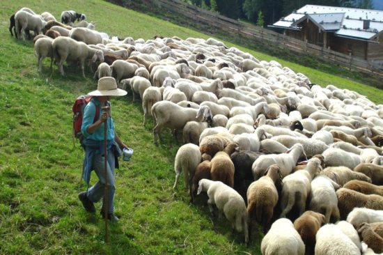 Familienurlaub am Hauser Kaibling, Steiermark
