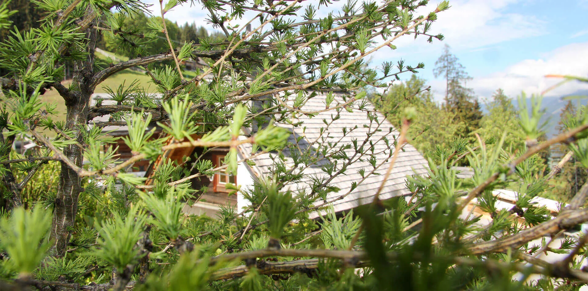 Chalets & Almhütten am Hauser Kaibling, Steiermark