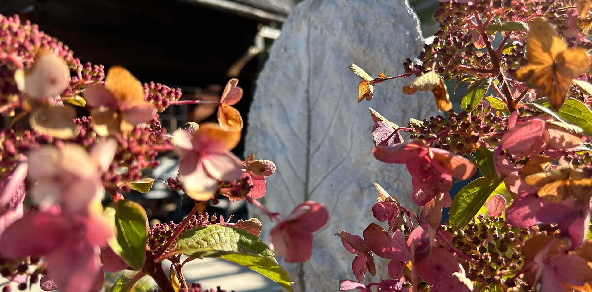 Chalets & Almhütten am Hauser Kaibling, Steiermark