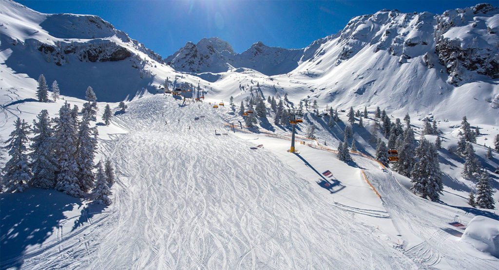 Skiurlaub am Hauser Kaibling, Ski amadé