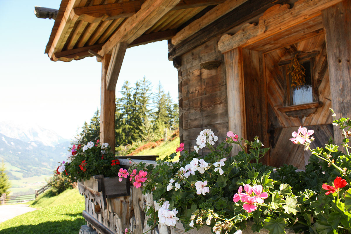 Troatkosten - Urlaub am Hauser Kaibling, Steiermark
